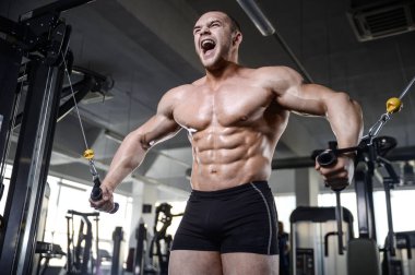 D ile kasları kadar pompalama acımasız güçlü vücut geliştirmeci atletik erkek