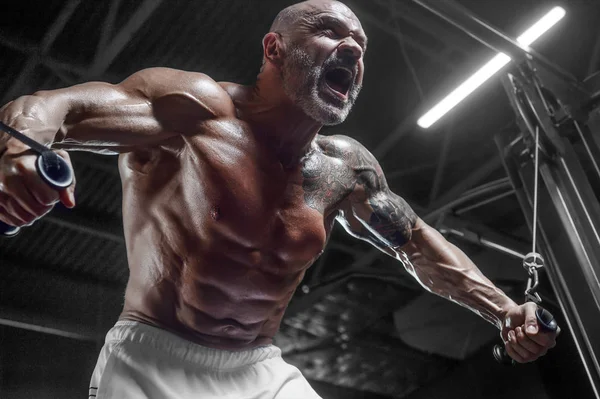 Bonitos homens atléticos bombeando músculos flexões em barras irregulares — Fotografia de Stock