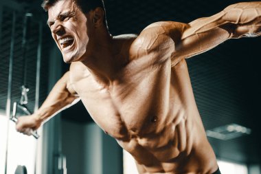 Vücut geliştiren yakışıklı, güçlü, atletik, kas geliştiren, spor yapan, vücut geliştiren, sağlıklı bir konsept geçmişi olan, spor salonunda çıplak bedende kol egzersizi yapan, kaslı, formda adamlar.