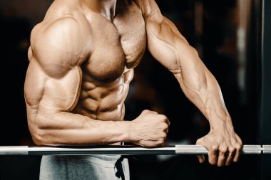 Vücut geliştiren yakışıklı, güçlü, atletik, kas geliştiren, spor yapan, vücut geliştiren, sağlıklı bir konsept geçmişi olan, spor salonunda çıplak bedende kol egzersizi yapan, kaslı, formda adamlar.