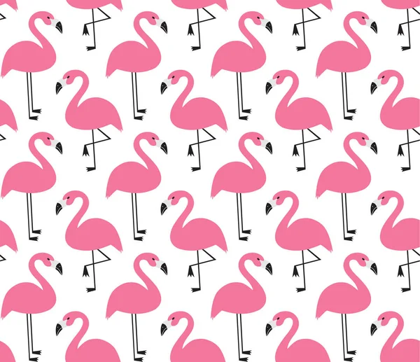 Dikişsiz flamingo desen vektör çizim — Stok Vektör