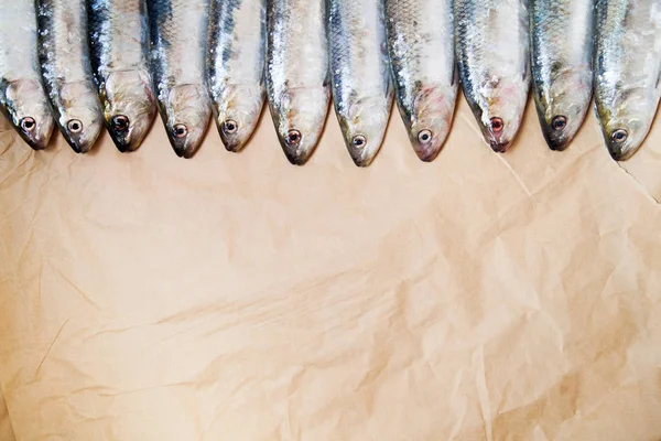  Satır kağıt üzerinde taze balık