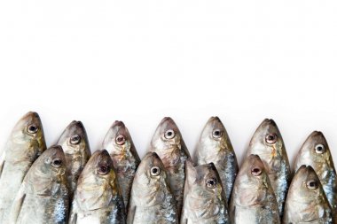 Beyaz arka plan üzerinde balık. ringa balığı