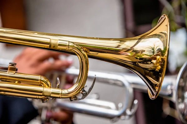 5 Mayıs kutlamaları (cinco Mariachi müzikal performans