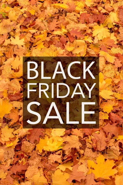 Black Friday sale background with autumn leaves