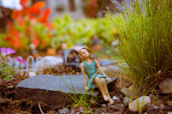 Fairy garden with gnomes.