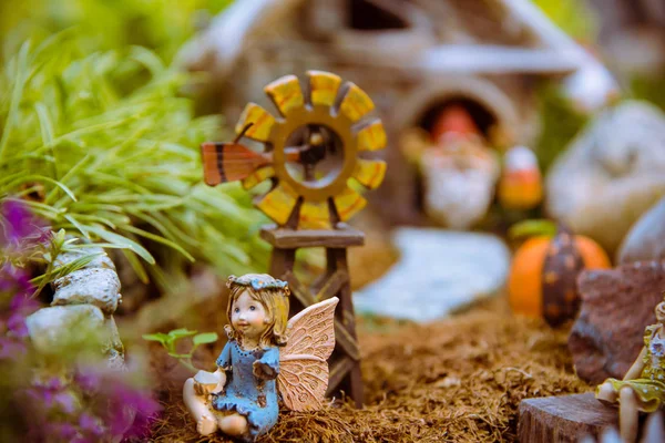 Fairy garden with gnomes.