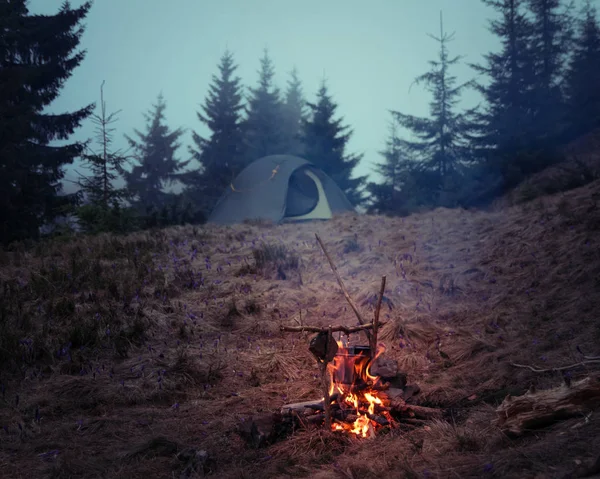 Waldlandschaft mit Lagerfeuer — Stockfoto