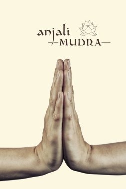 Anjali mudra, izole.
