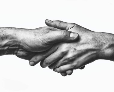bir firma el sıkışma