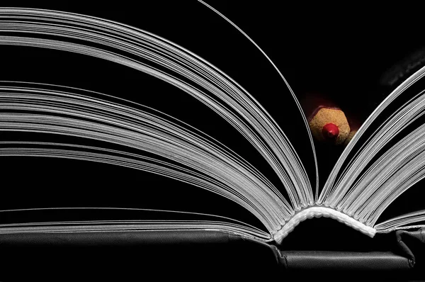 Open book with red pencil — Stock Photo, Image