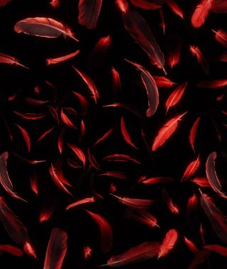Abstract pattern of red feathers on a black background.
