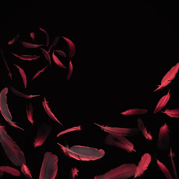 Tüyler siyah bir zemin üzerine bir dalga. 