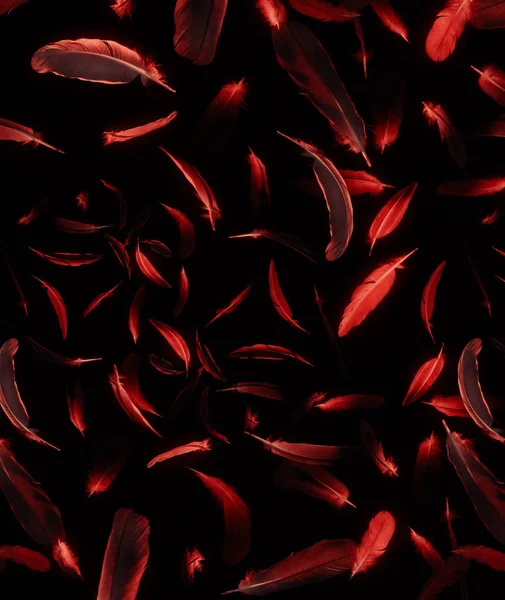 黒の背景に赤い羽の抽象的なパターン — ストック写真