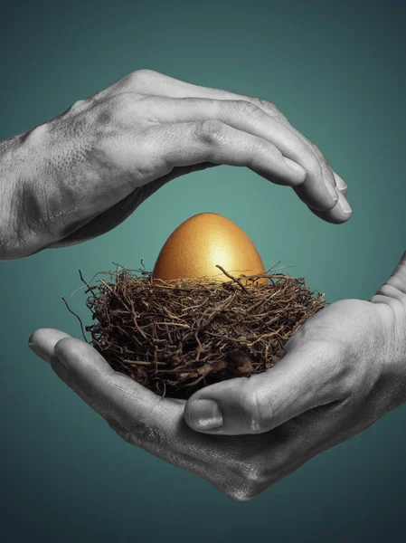 女性の手は 黄金の卵を巣を慎重に保持します 節約と貯蓄を増やすことの概念 — ストック写真