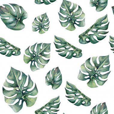 Monstera ile suluboya tropikal Dikişsiz desen bırakır. Modaya uygun desen duvar kağıtları, web sayfası arka planlar, kumaş için.