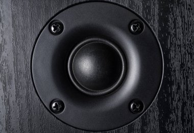 Yüksek frekanslı ses hoparlör ahşap durumda cepheden görüntüsü.