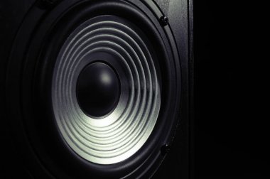 Ses hoparlör ahşap durumda dalgalı membran ile görüntü.