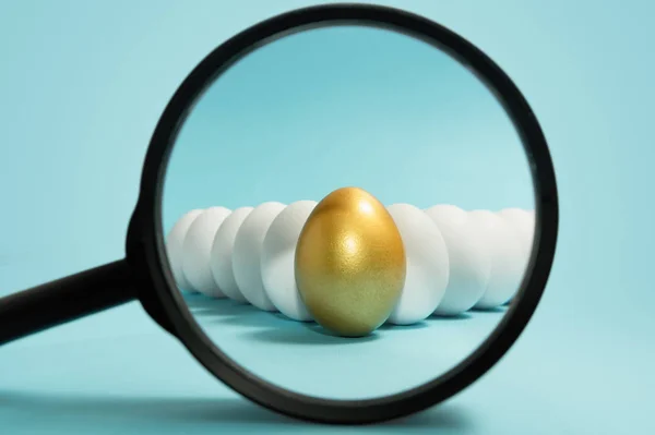 Search of unique people. Talent Management. One golden egg under magnifier among white eggs on blue background.