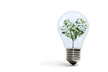 Yenilenebilir enerji kavramı. Beyaz izole edilmiş arka planda kalp şeklinde çiçekli bir ampul. Resim