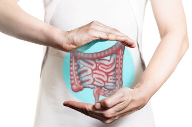 Image of a woman in a white dress and 3d model of the bowel between her hands. Concept of healthy bowel. clipart
