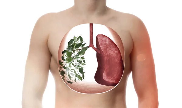 Kreatywny Obraz Ludzkich Płuc Organizmie Jedno Płuco Składa Się Zielonych — Zdjęcie stockowe