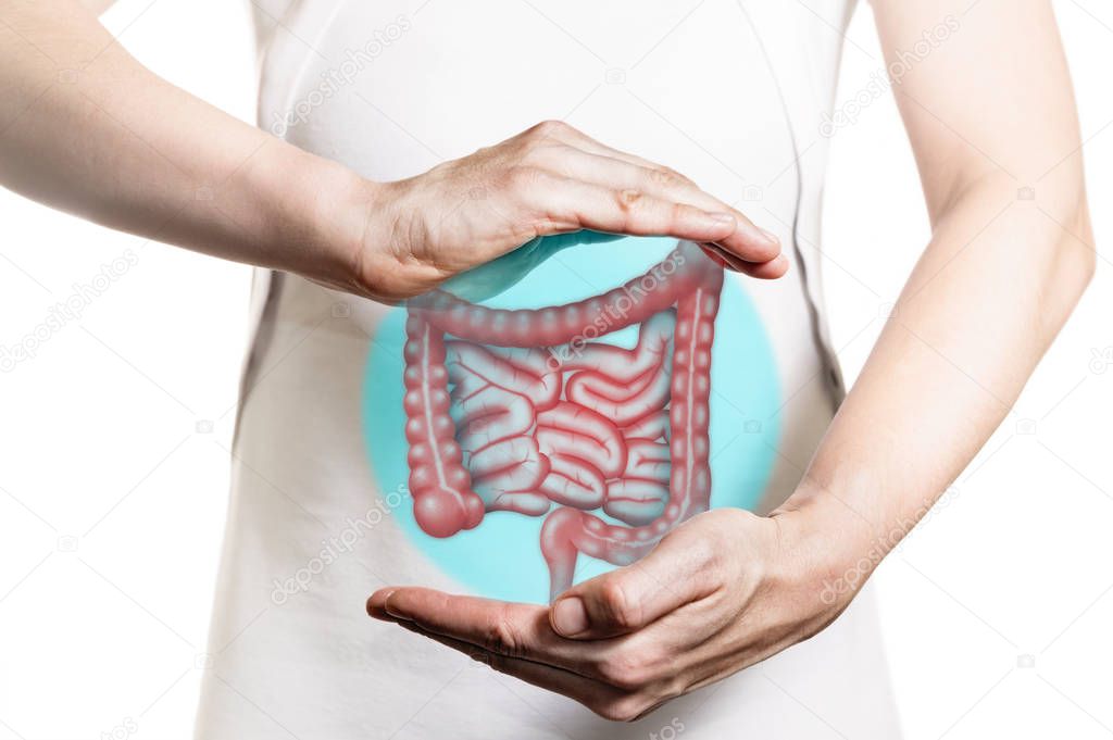 Image of a woman in a white dress and 3d model of the bowel between her hands. Concept of healthy bowel.