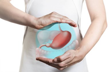 Beyaz elbiseli bir kadın ve elleri arasında midenin 3 boyutlu modeli. Sağlıklı mide kavramı.