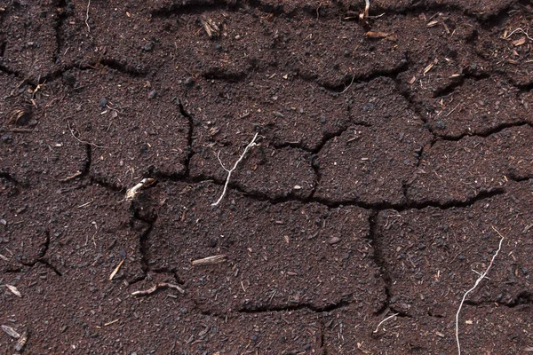 Cracked earth background. The desert. Background.