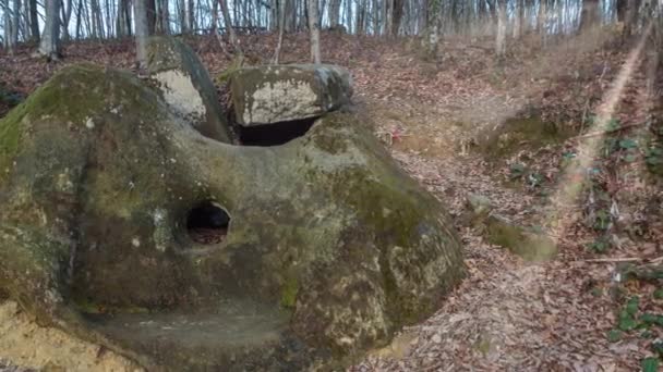 Zicht op oude Dolmen in het bos verlicht door achtergrondzonlicht — Stockvideo