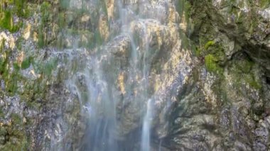 Yeşil yosunlu şelale arkaplanı