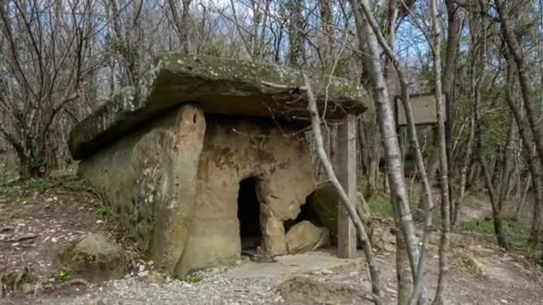 Přiblížit pohled na Starověké Dolmeny v lese. — Stock video