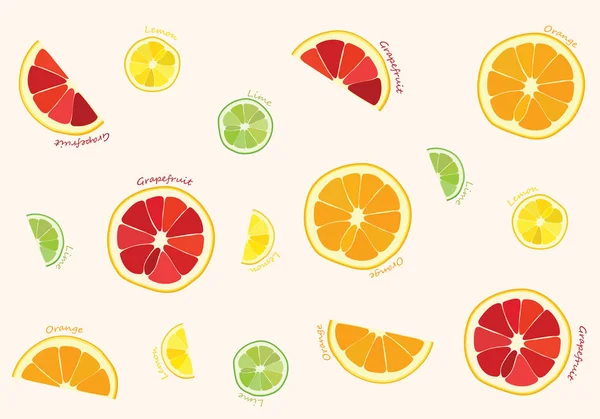 Цитрусові фрукти малюнком — стоковий вектор