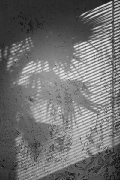 Pared de hormigón gris con textura de sombra — Foto de Stock