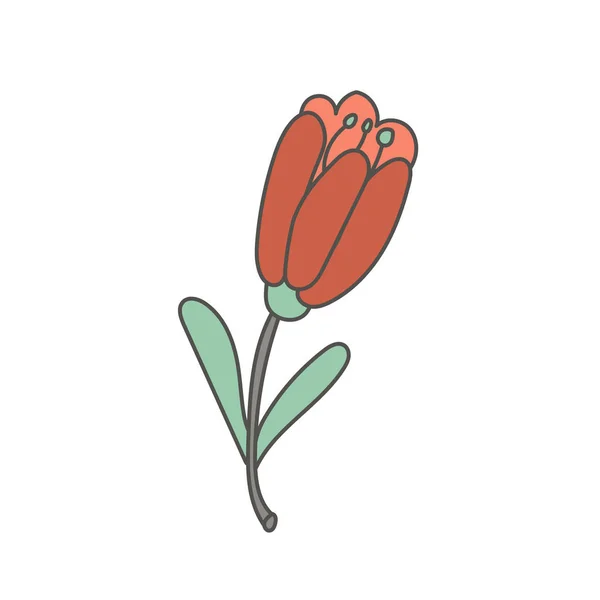 Bright red flower tulip. Hand-drawn design. Vector editable illustration
