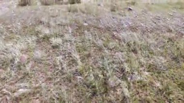 Altay Dağları'nda kuru alan görünümünü