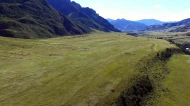 odunsu dağlarda yeşil alanın havai görünümü 