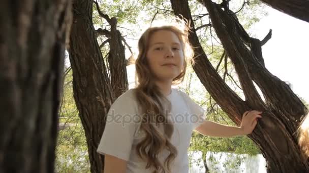 Hermanas sentadas en el árbol — Vídeos de Stock