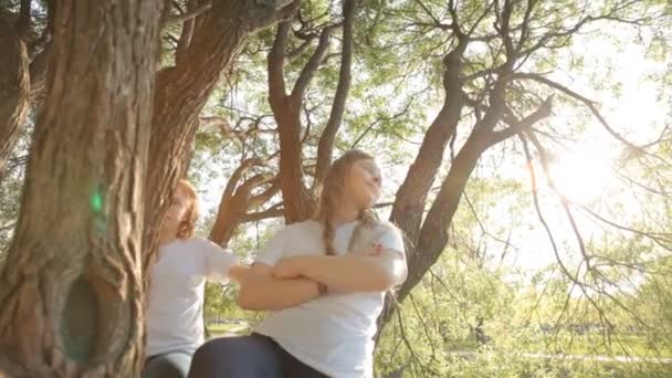 Sisters sitting on tree — Stock Video