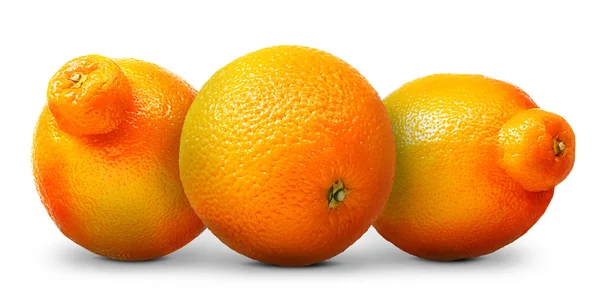 Gruppe von Orangen und Mandarinen isoliert auf weiß — Stockfoto