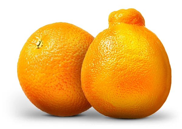 Grupp av apelsiner och mandariner isolerad på vit — Stockfoto