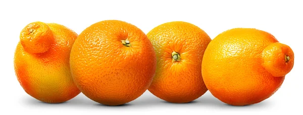 Grupo de laranjas e tangerinas isoladas sobre branco — Fotografia de Stock