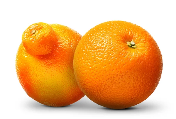 Grupo de laranjas e tangerinas isoladas sobre fundo branco — Fotografia de Stock