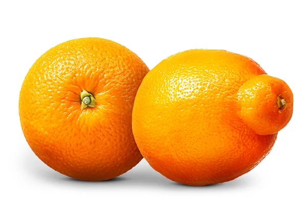 Grupo de laranjas e tangerinas isoladas sobre branco — Fotografia de Stock