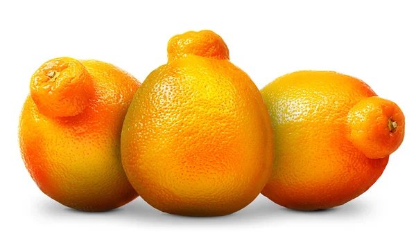 Grupp av mandarin, tangerin citrusfrukter isolerad på vit bakgrund — Stockfoto