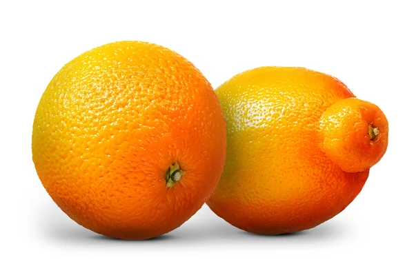 Groupe d'oranges et de mandarines isolées sur fond blanc — Photo