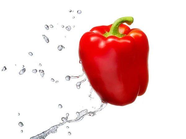 Water splash with bell pepper isolated — Stock Photo, Image