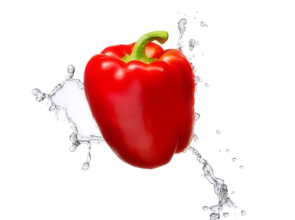 Water splash with bell pepper isolated — Stock Photo, Image