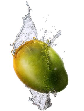 Su sıçrama izole mango ile