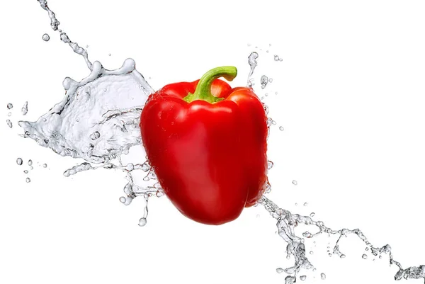 Water splash with bell pepper isolated — Stock Photo, Image